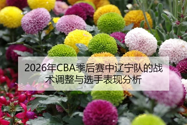 2026年CBA季后赛中辽宁队的战术调整与选手表现分析
