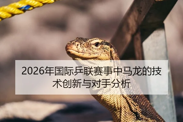 2026年国际乒联赛事中马龙的技术创新与对手分析