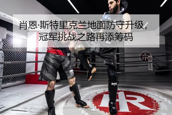 肖恩·斯特里克兰地面防守升级，冠军挑战之路再添筹码