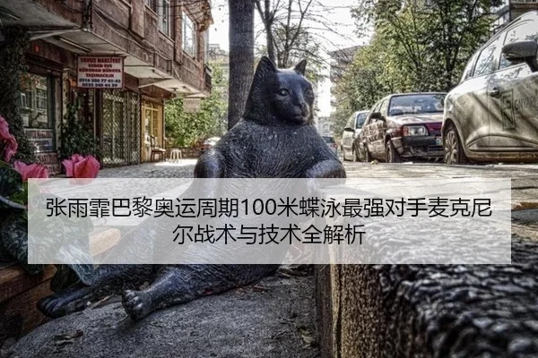 张雨霏巴黎奥运周期100米蝶泳最强对手麦克尼尔战术与技术全解析