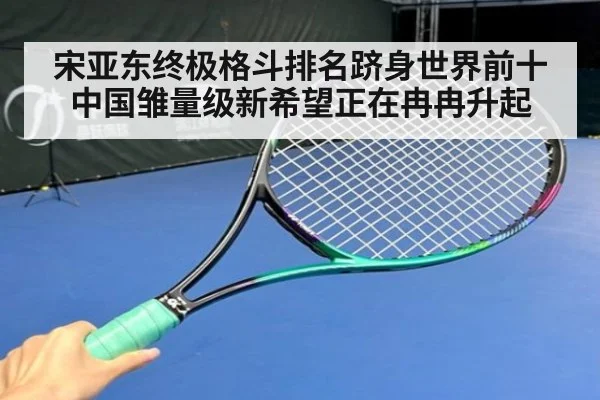 宋亚东终极格斗排名跻身世界前十 中国雏量级新希望正在冉冉升起